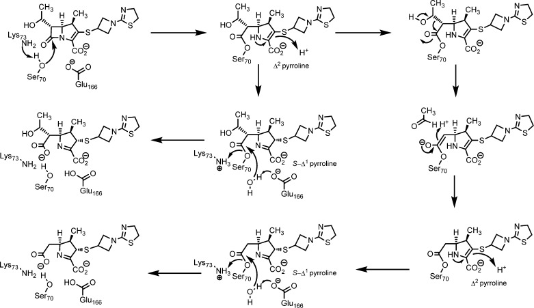 Scheme 3