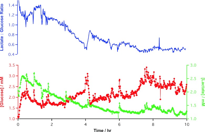 Fig. 4