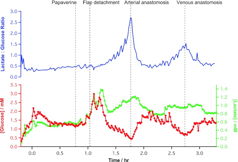 Fig. 3