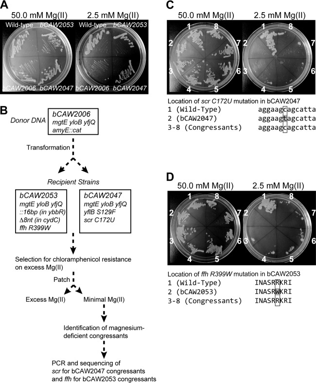 FIG 6