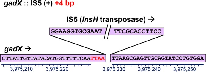 FIG 2