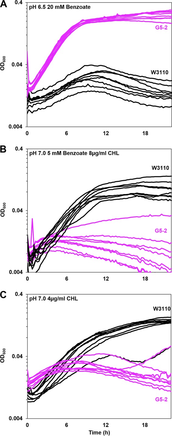 FIG 4