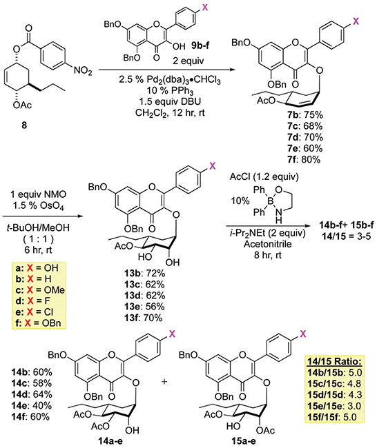 Scheme 4