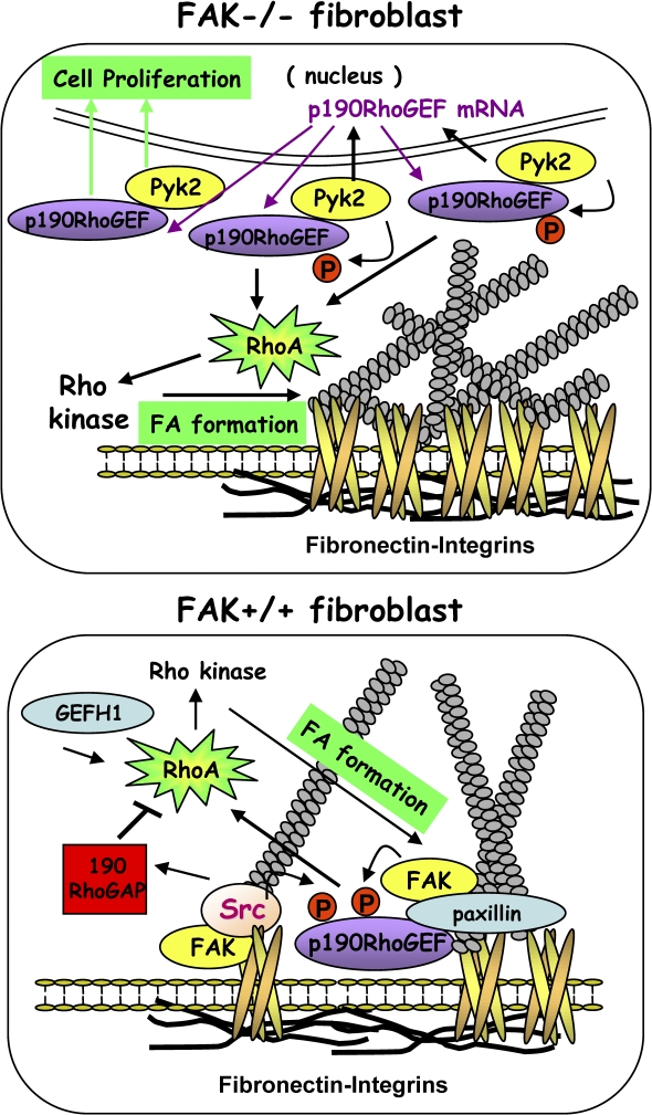 Figure 10.