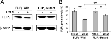 FIGURE 10.