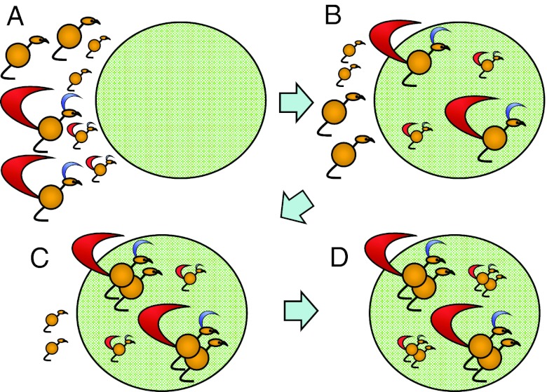 Fig. 1.