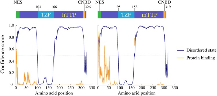 FIG 11