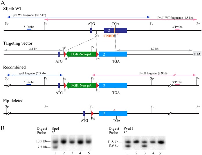 FIG 3