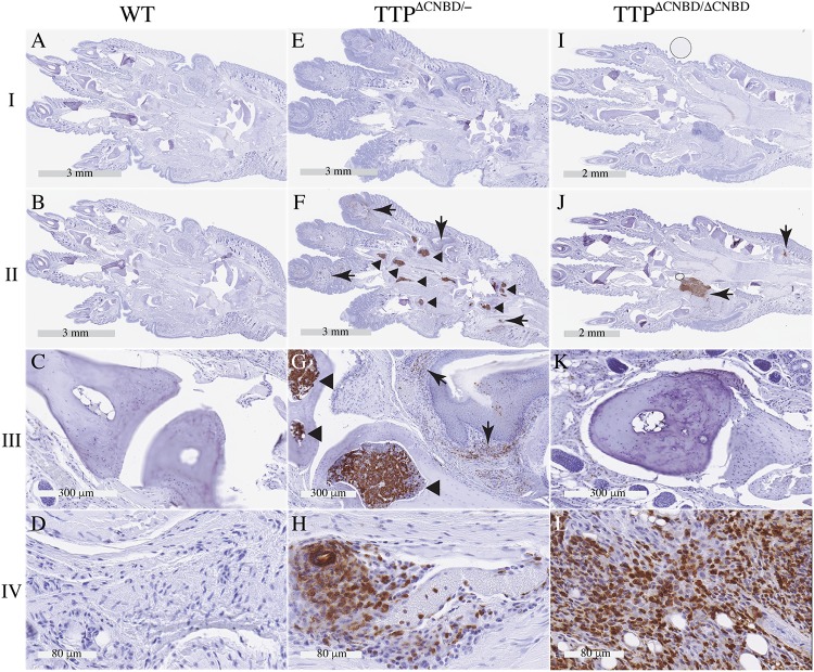 FIG 6