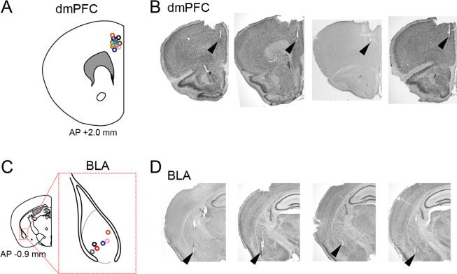 Figure 1—figure supplement 1.