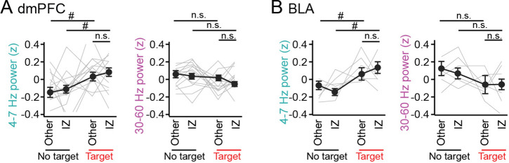 Figure 5—figure supplement 1.