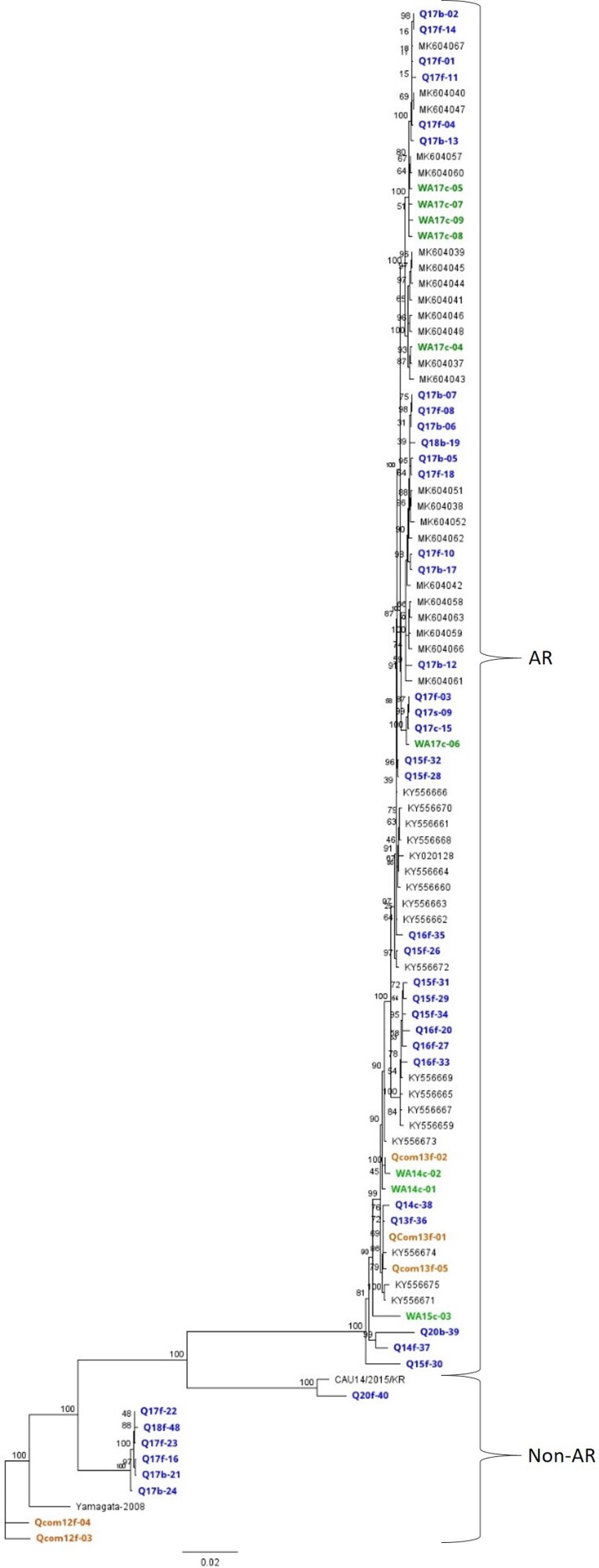 Figure 2.