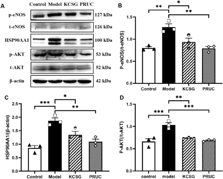 Fig. 10