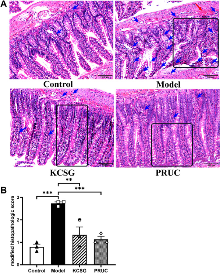 Fig. 7