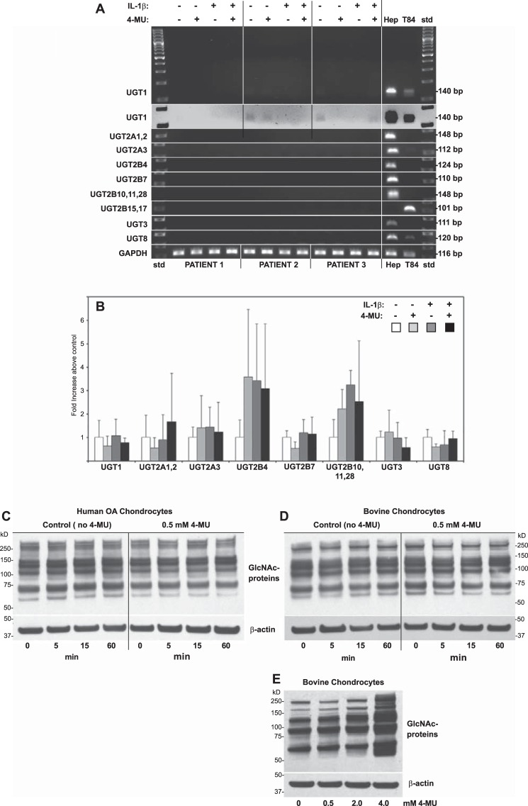 FIGURE 10.