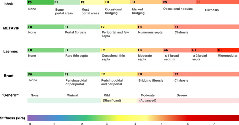 Graph shows multiple scoring systems that have been proposed for staging liver fibrosis. These systems differ in their purpose, definitions of fibrosis stages, and subgroups. The use of liver stiffness as a continuous variable has advantages over ordinal categories. It may provide better clinical and prognostic correlation, especially given that most staging systems group patients with cirrhosis in a single category, without taking into consideration the severity of cirrhosis or any longitudinal histologic progression or regression. Brunt = Brunt scoring system, F = fibrosis stage, Ishak = Ishak score, Laennec = Laennec staging system, METAVIR = Meta-analysis of Histological Data in Viral Hepatitis scoring system.