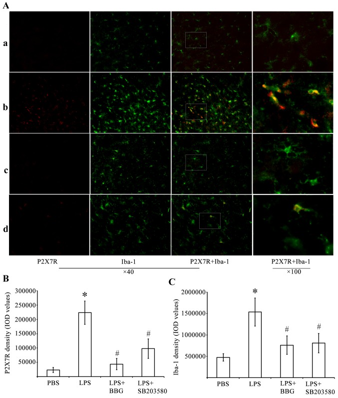 Figure 2.