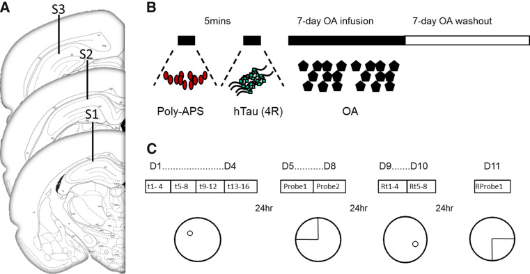 Fig. 1