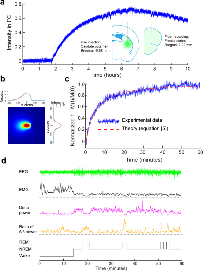 Extended Data Fig. 4