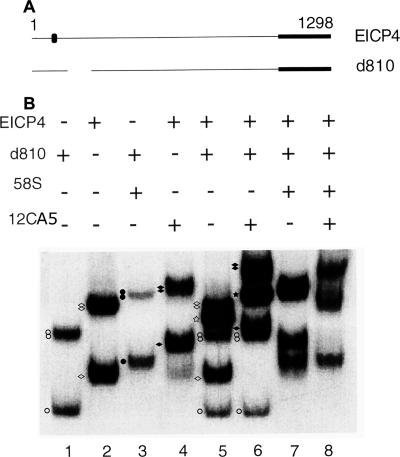 FIG. 5.