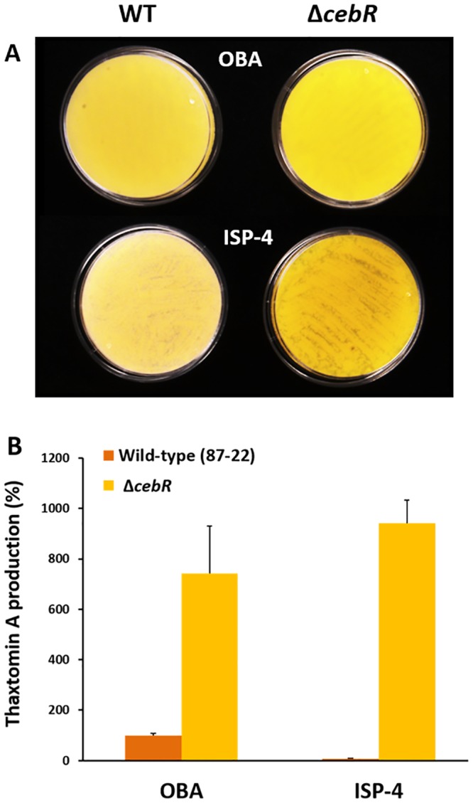 FIG 3 