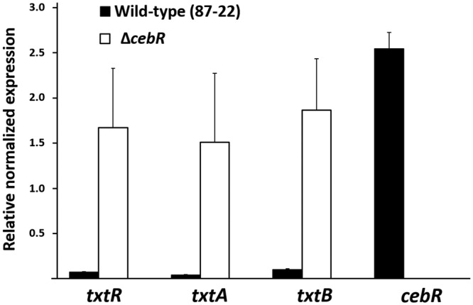 FIG 2 