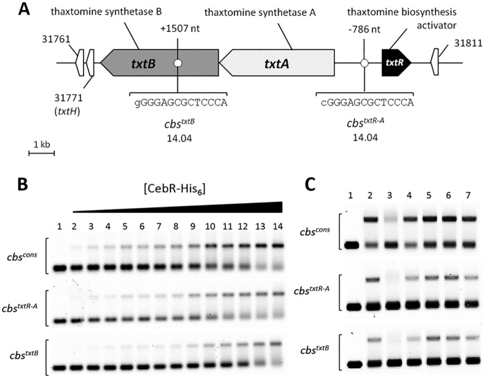 FIG 1 