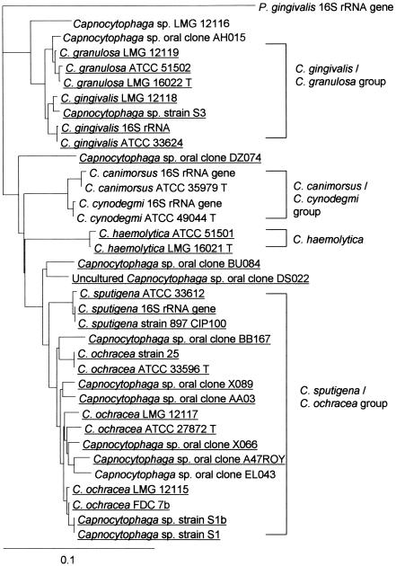 FIG. 7.