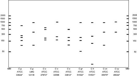 FIG. 5.