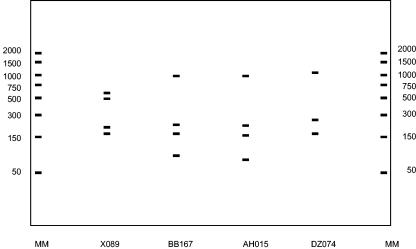 FIG. 6.