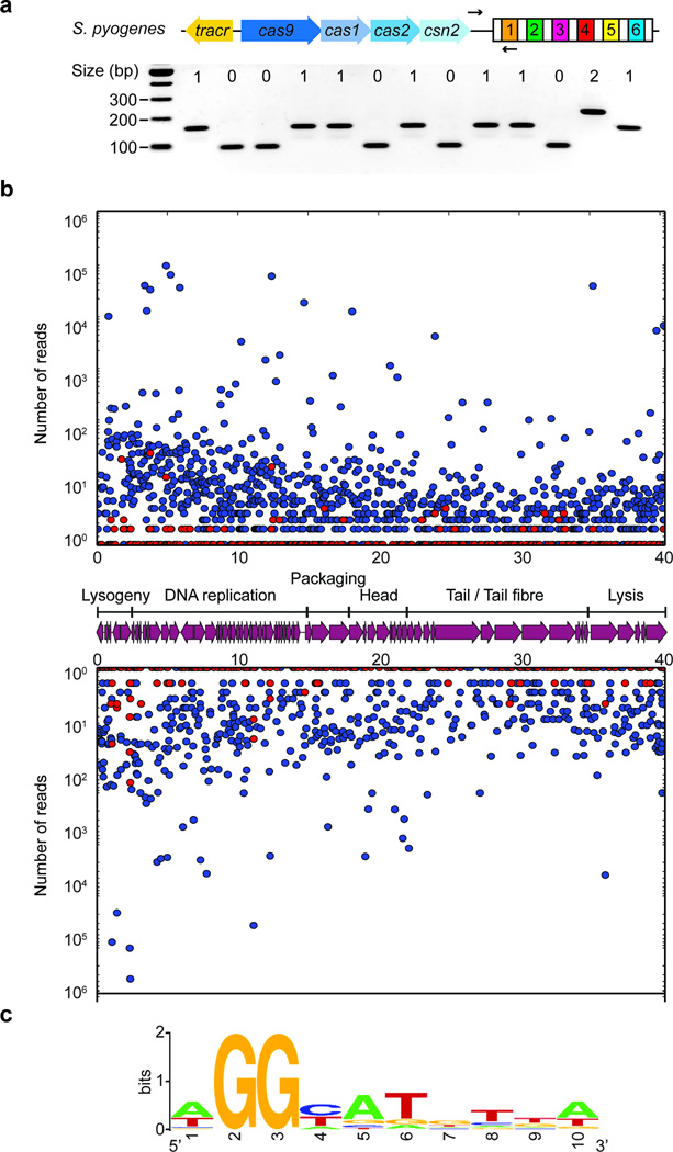 Extended Data Figure 1