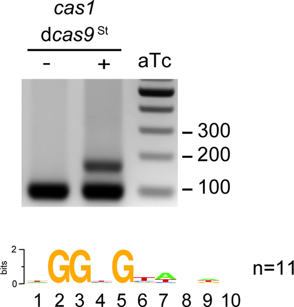 Extended Data Figure 5