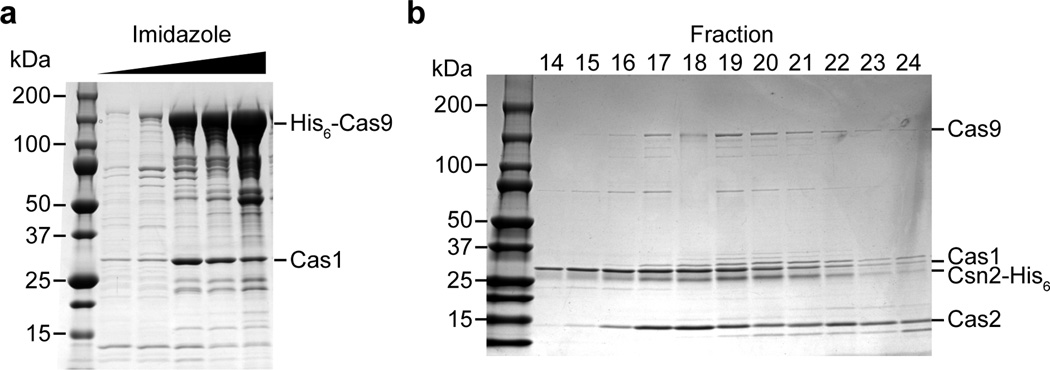 Extended Data Figure 4