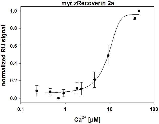 FIGURE 3