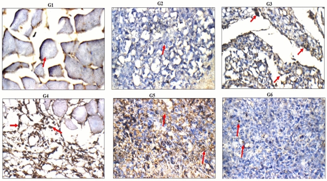 Figure 12