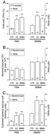 FIG. 2.