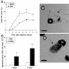 FIG. 1.