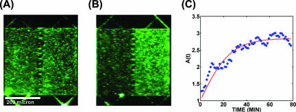 FIG. 2.