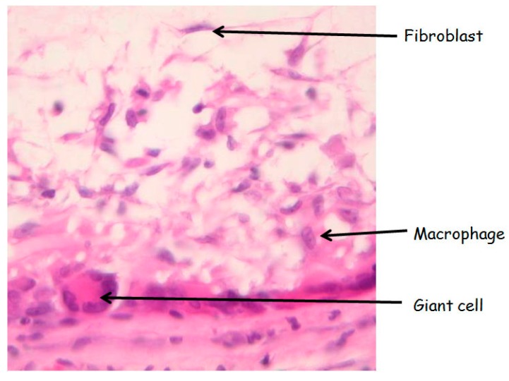 Figure 9