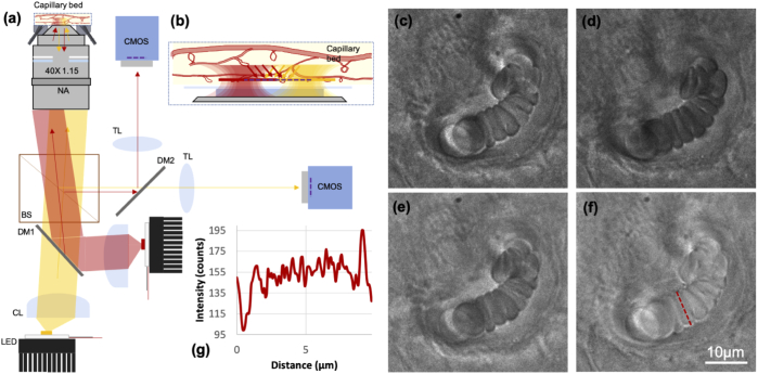 Fig. 7.