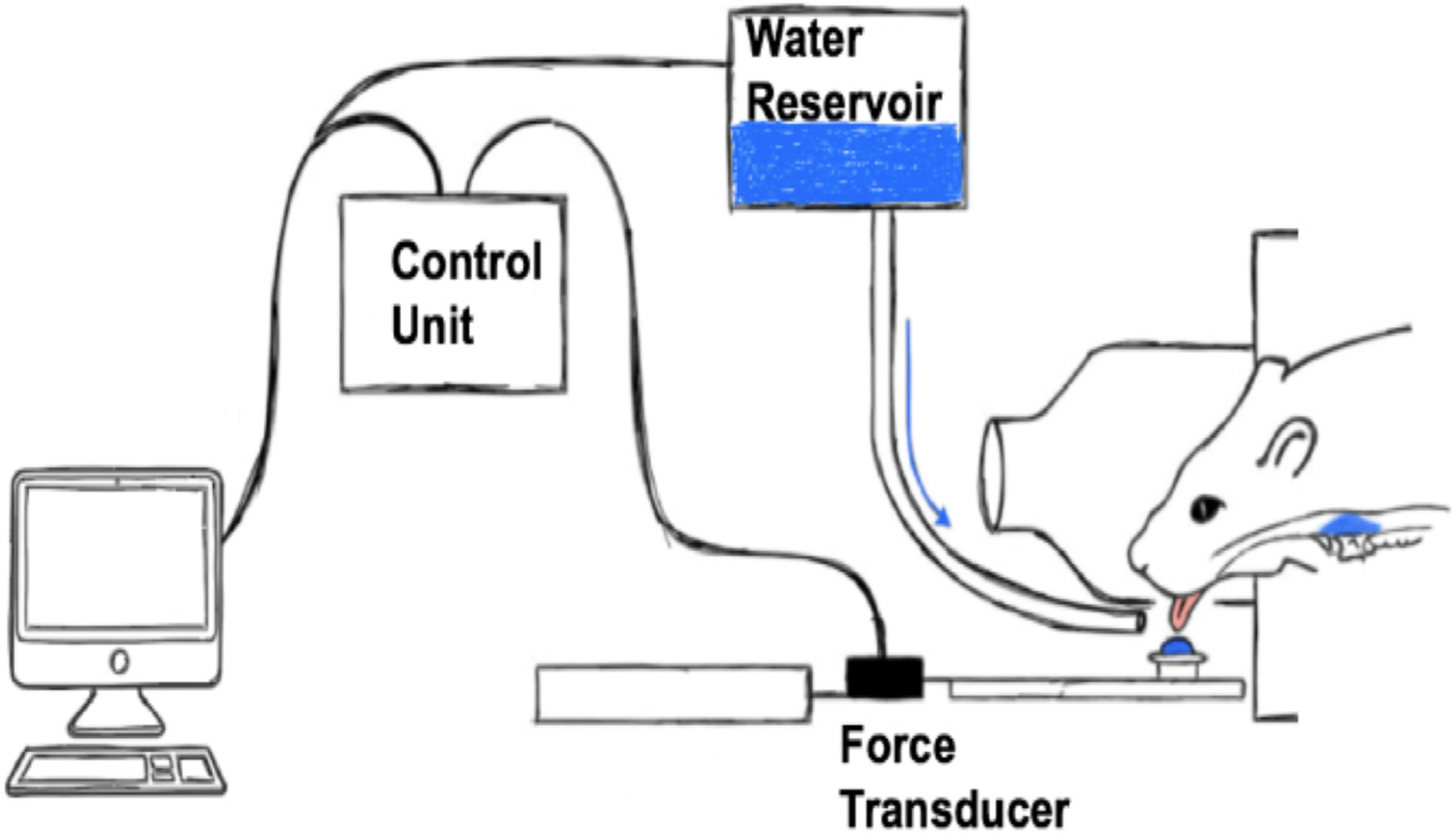 Fig. 1.