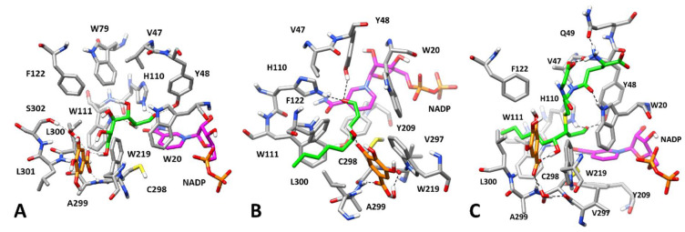 Figure 7