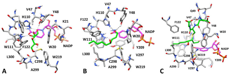 Figure 6