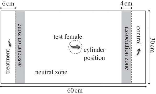 Figure 1.