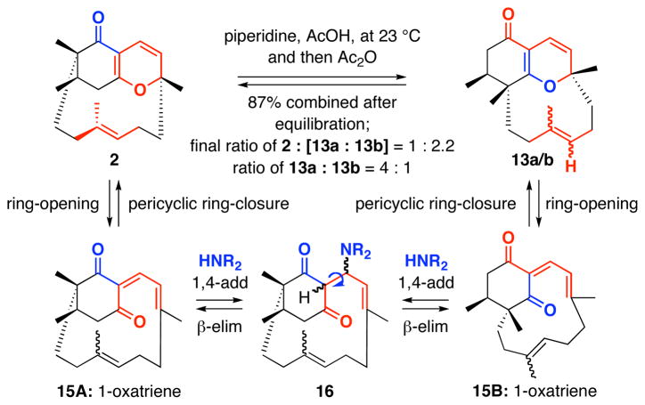 Scheme 6