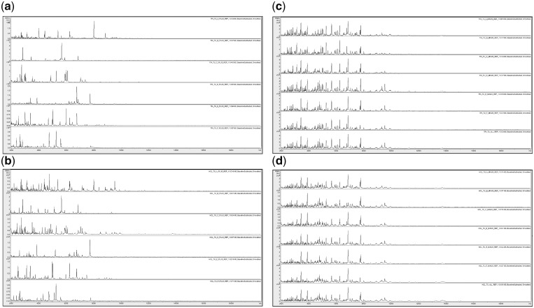 Figure 3: