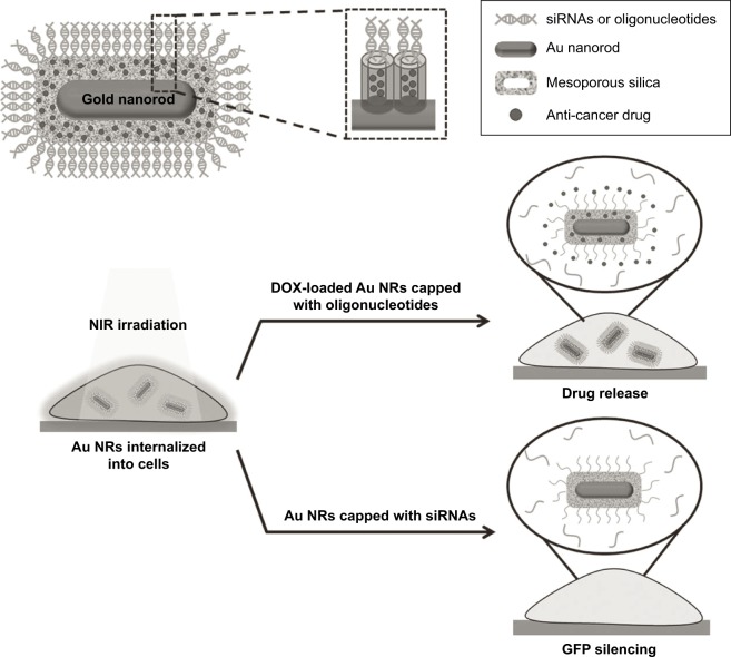 Figure 14