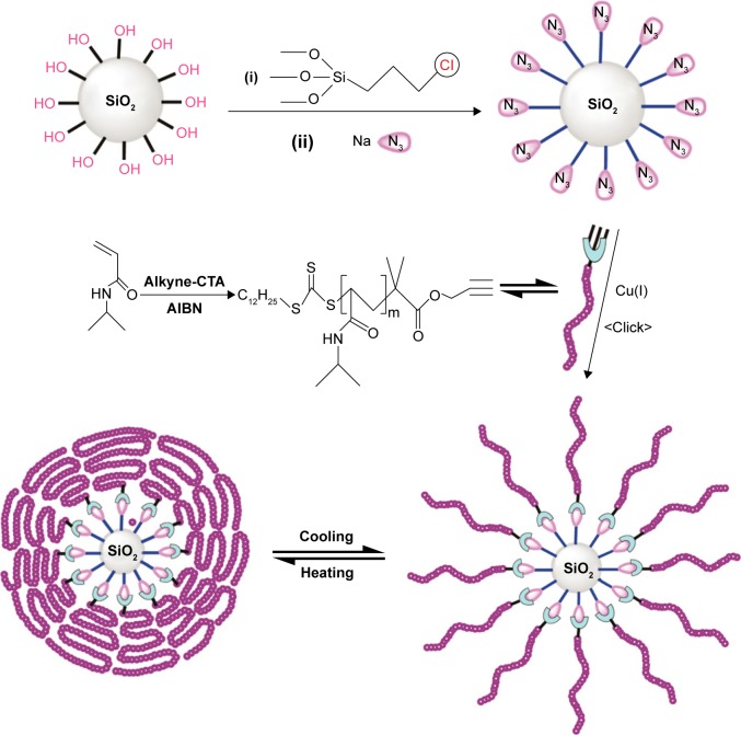 Figure 12