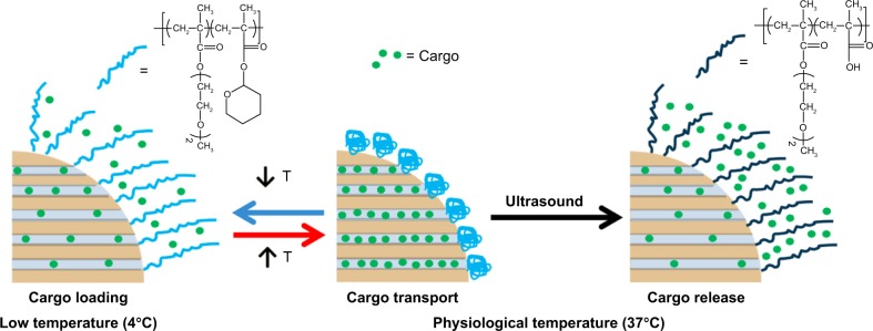 Figure 16