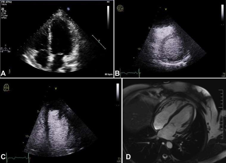 Figure 7